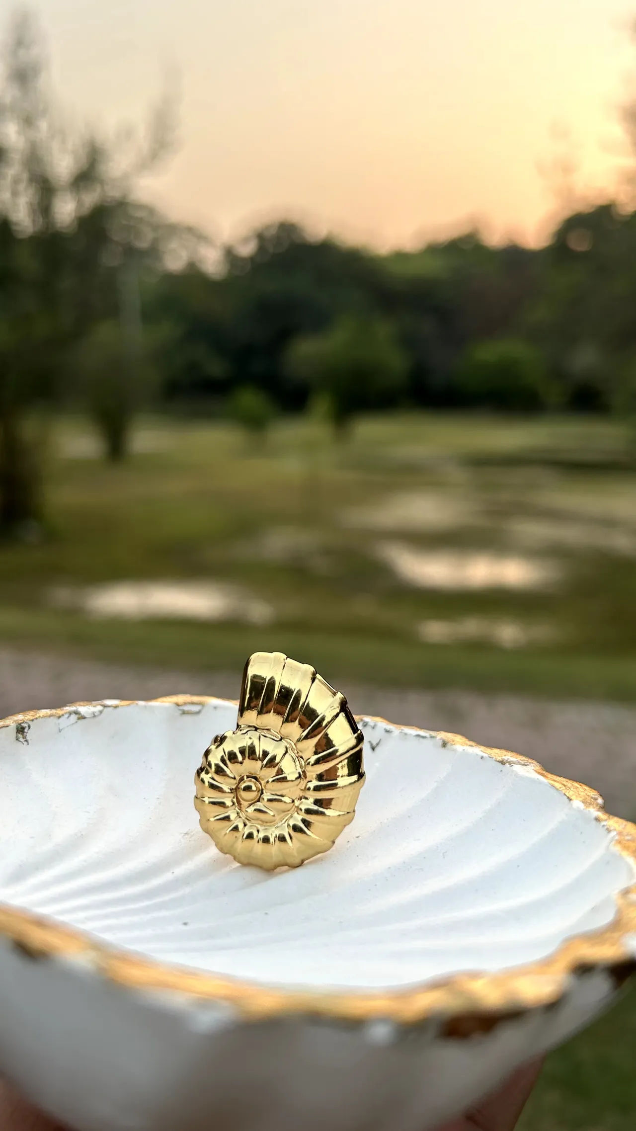 Shell Golden Rings